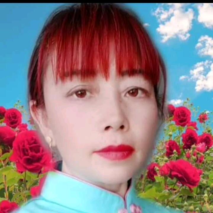 蝴蝶