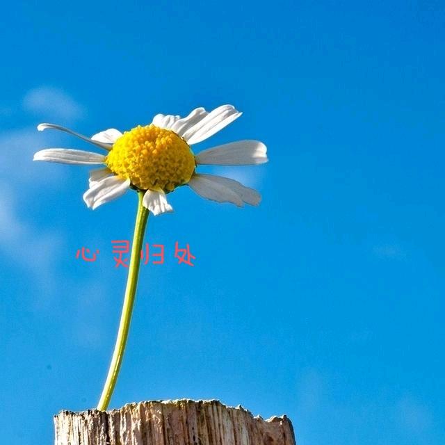 朗读，健身—凡哥