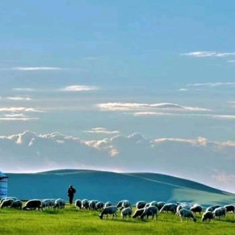 宏发专业承重墙改大梁！孙道红