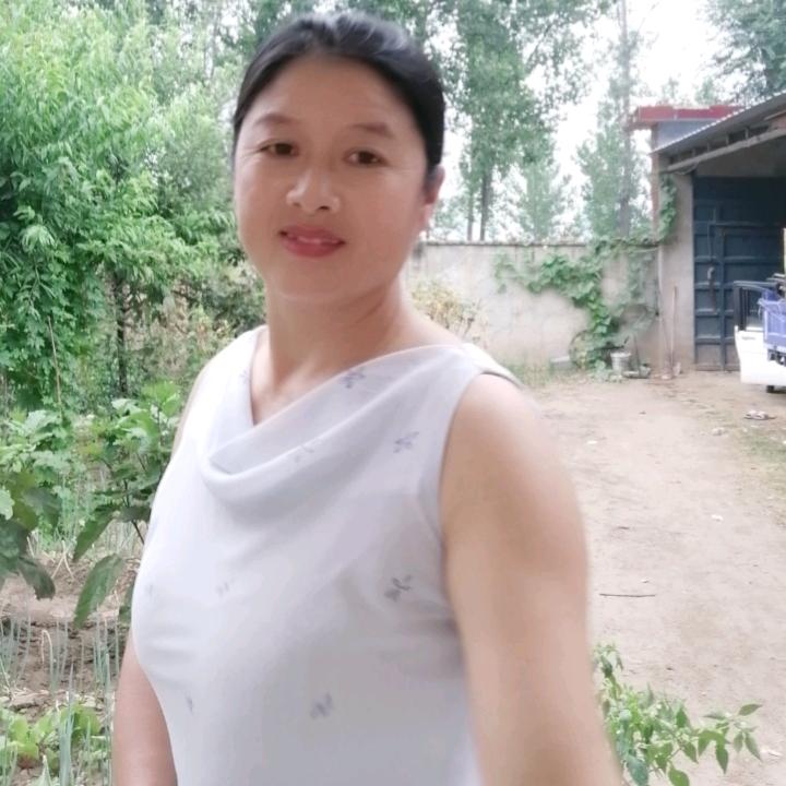 清雅淡然