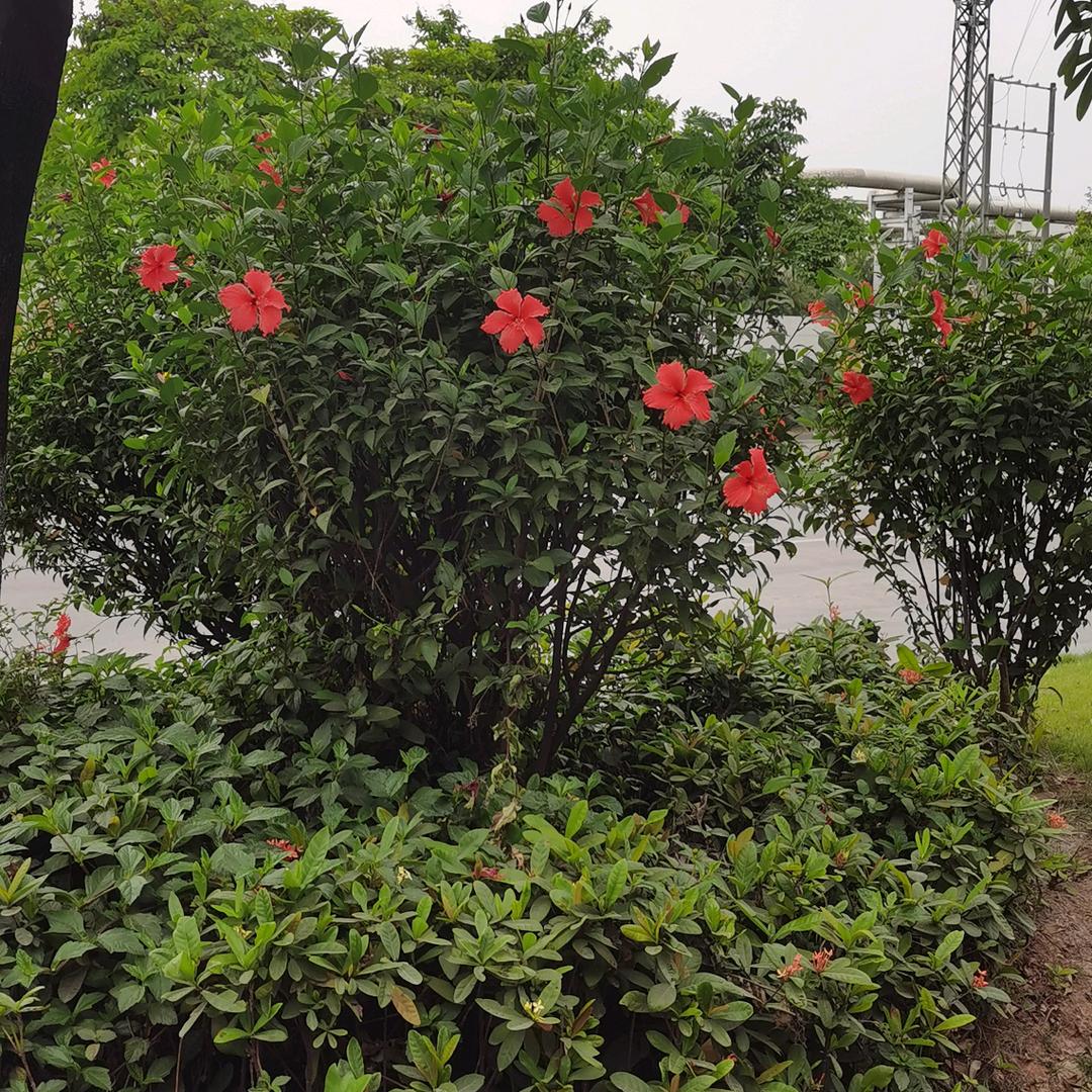 开着卡车走天涯