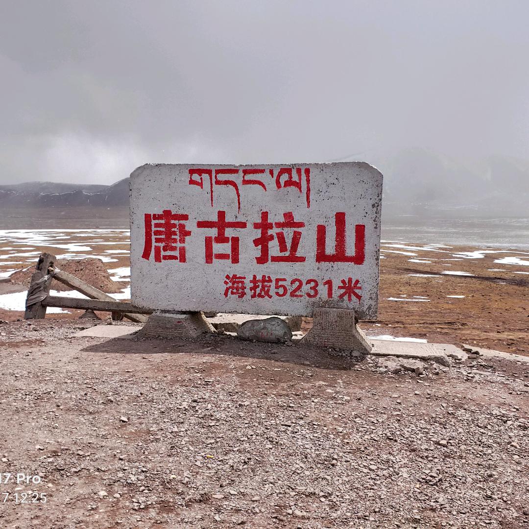 新苑子豪杰