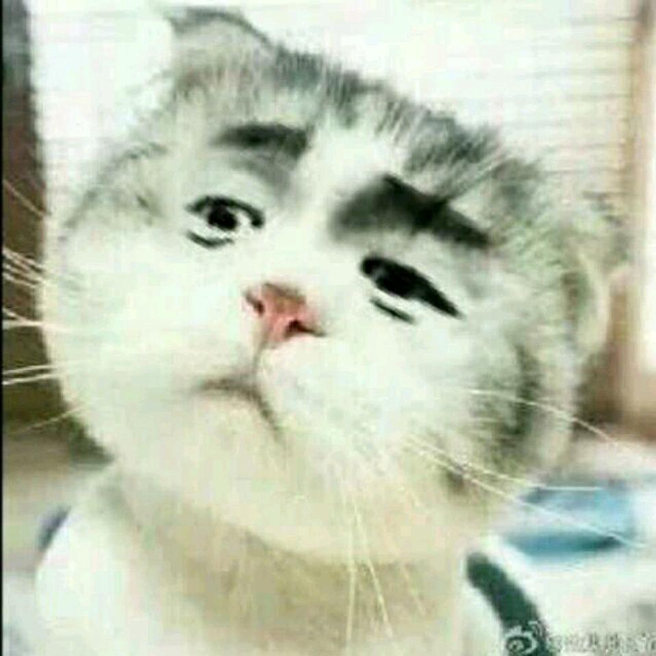 🌺 卟離🌹 卟棄🌷