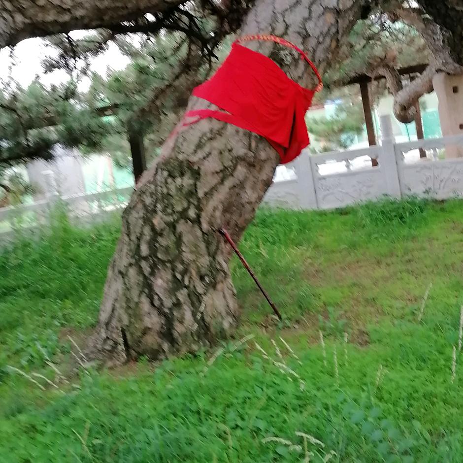 南关碾子沟，老年公寓