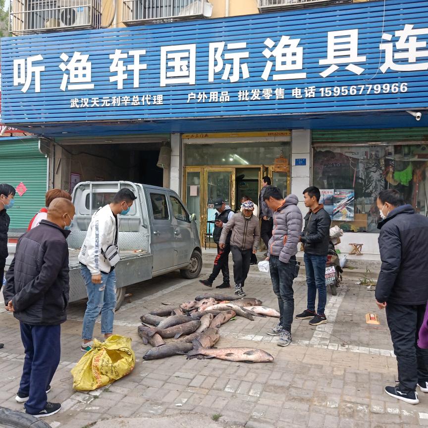利辛县听渔轩，神鹰.渔具店的小店个体店
