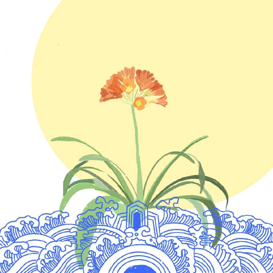 似水先生