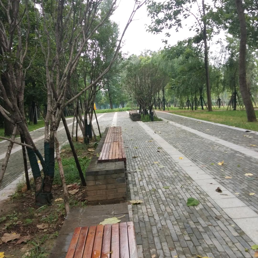 你好