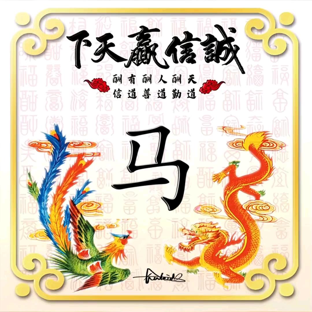 无缝合怕马哥