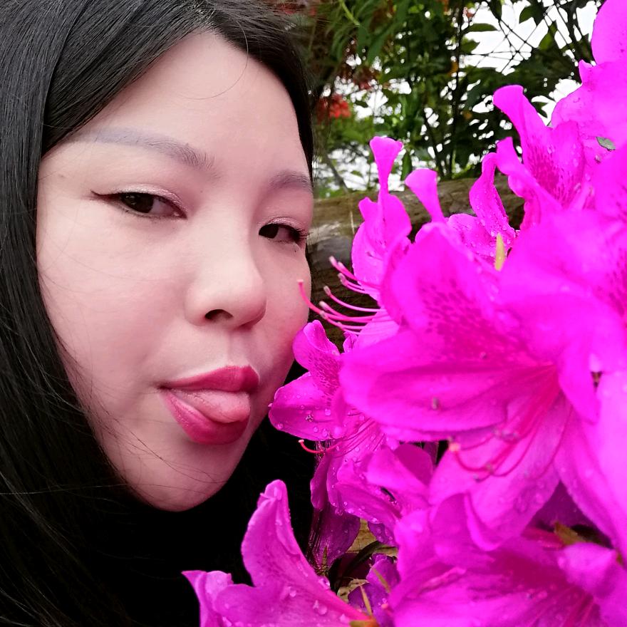 开心玫瑰🌹