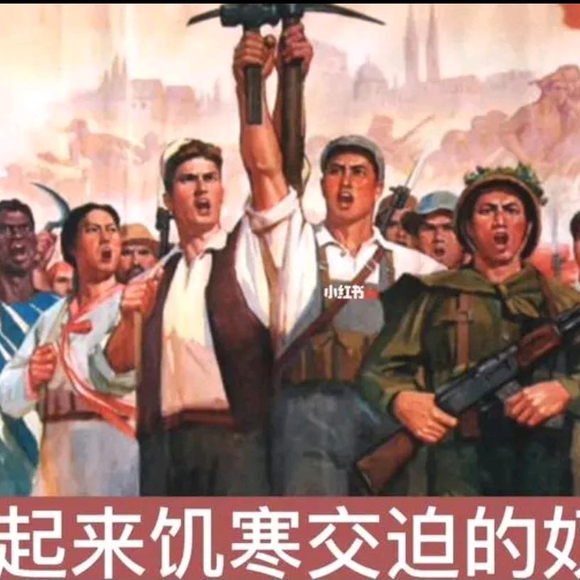 愤青一枚