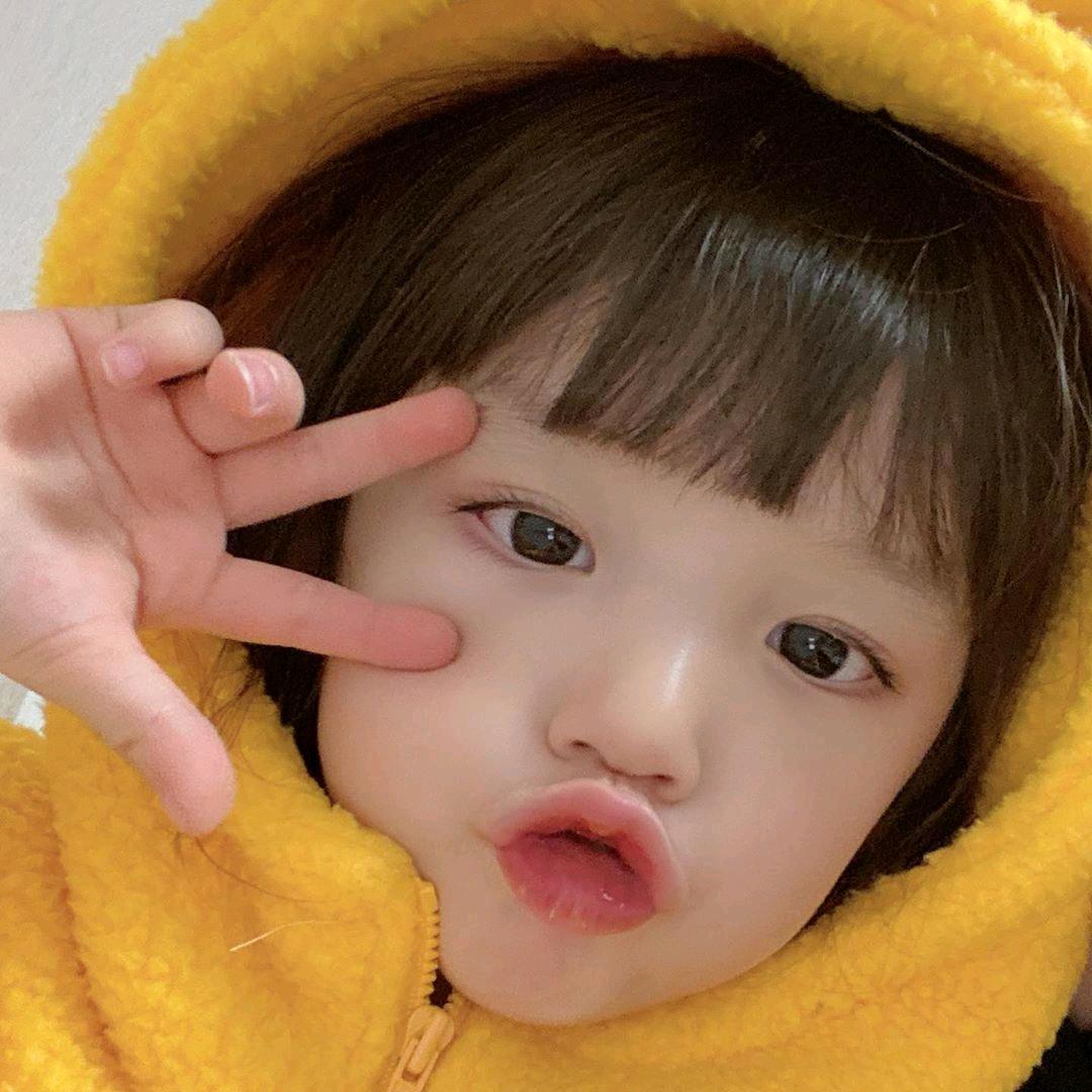 赣E菇娘《浙B教练》