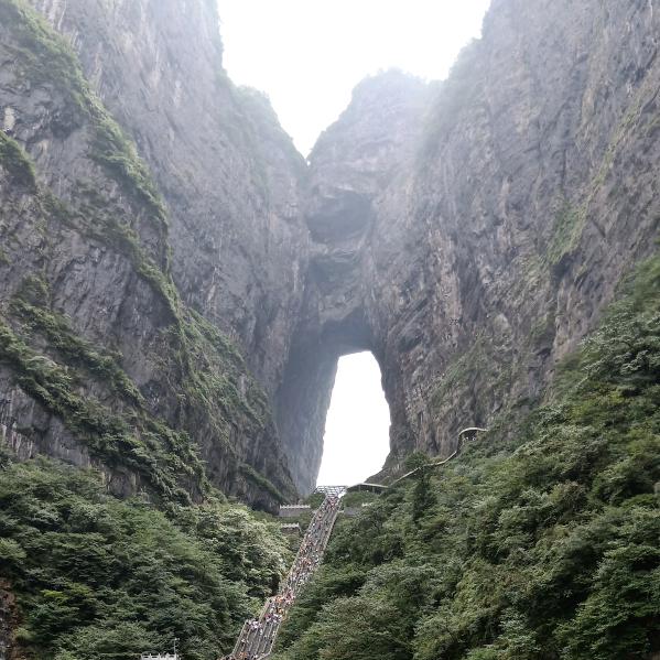 太白艳卉
