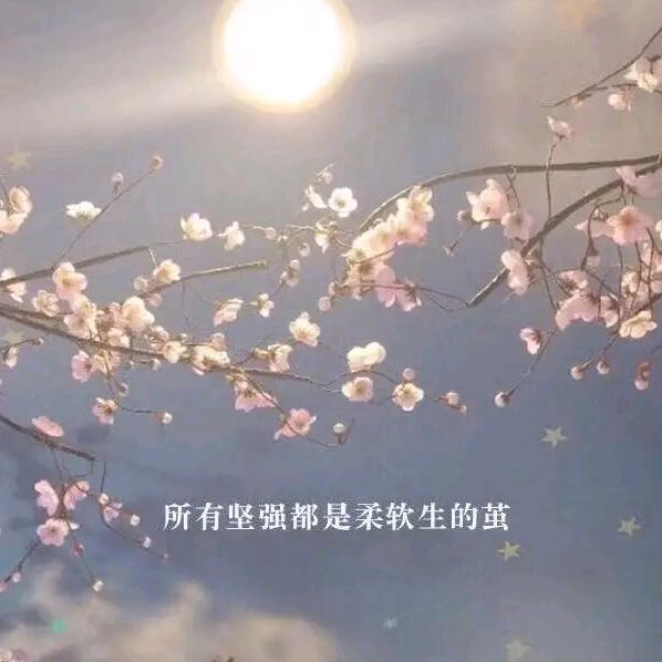 云淡风清