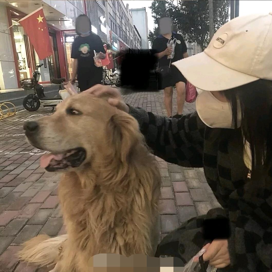张不高🐣