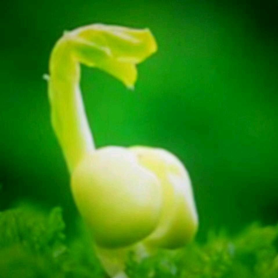 春暖