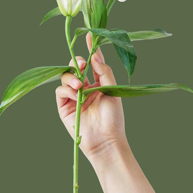 正能量。