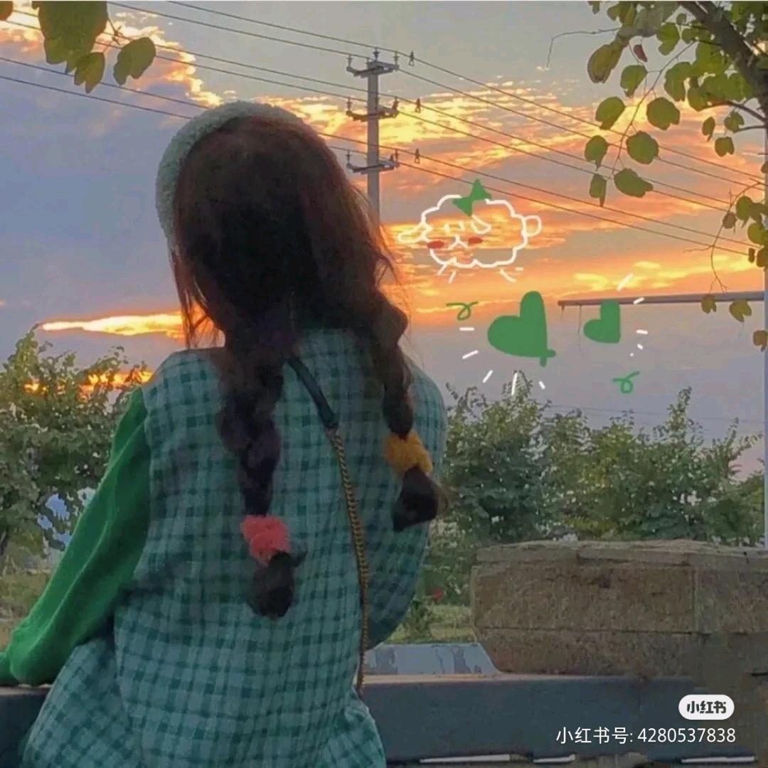 ☂蒲公英