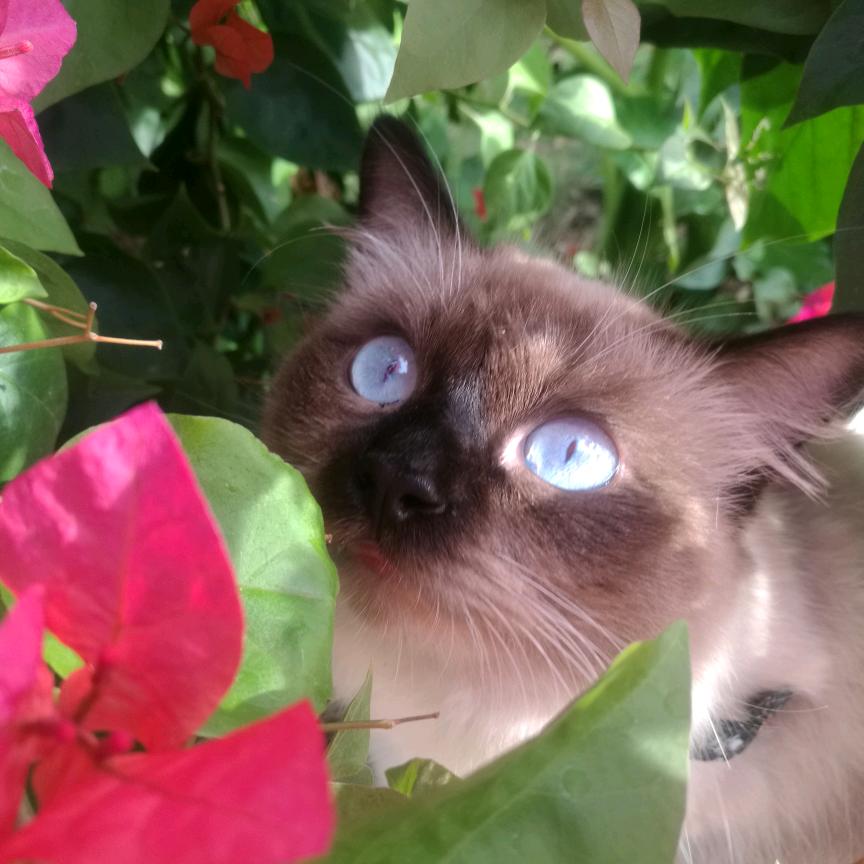 涠洲岛烟火屿味餐厅