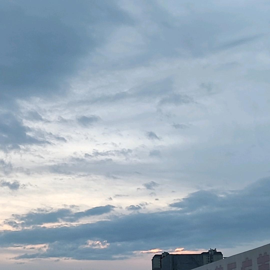 悲伤的屑