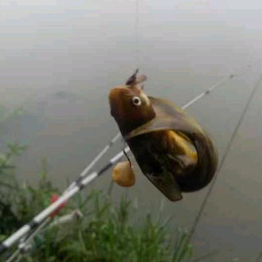 温