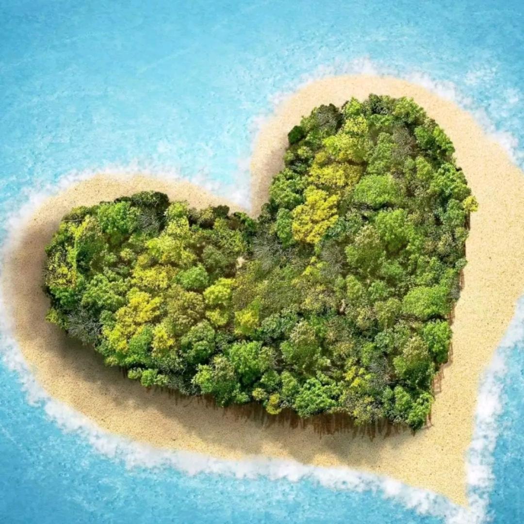 一颗心爱一人，华