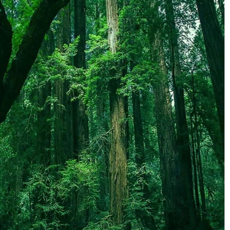 灵山了凡