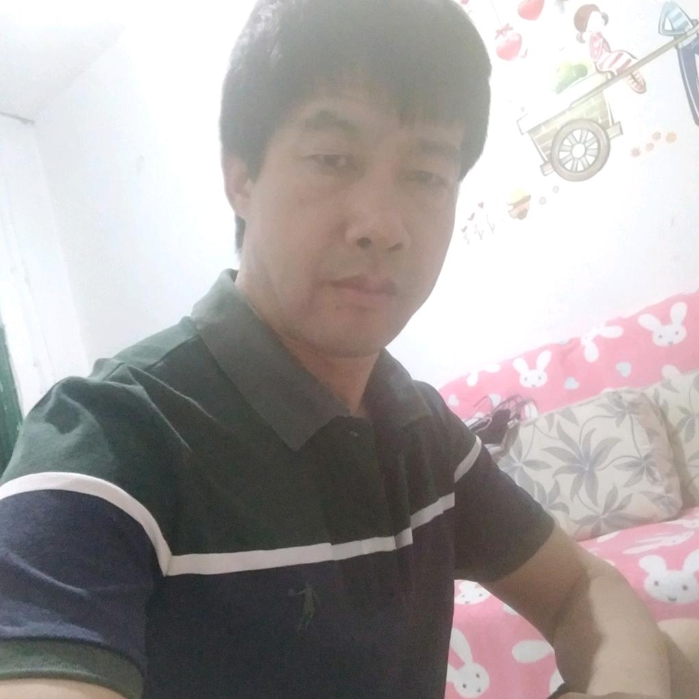 自由的飞鸟 🌸