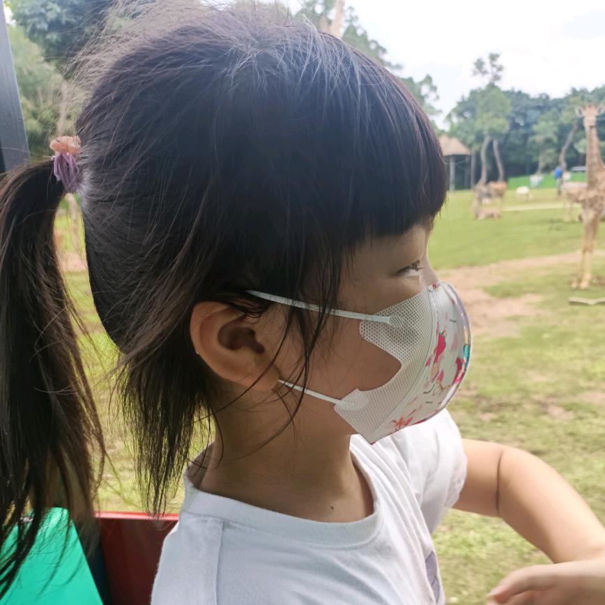 笨鸟飞