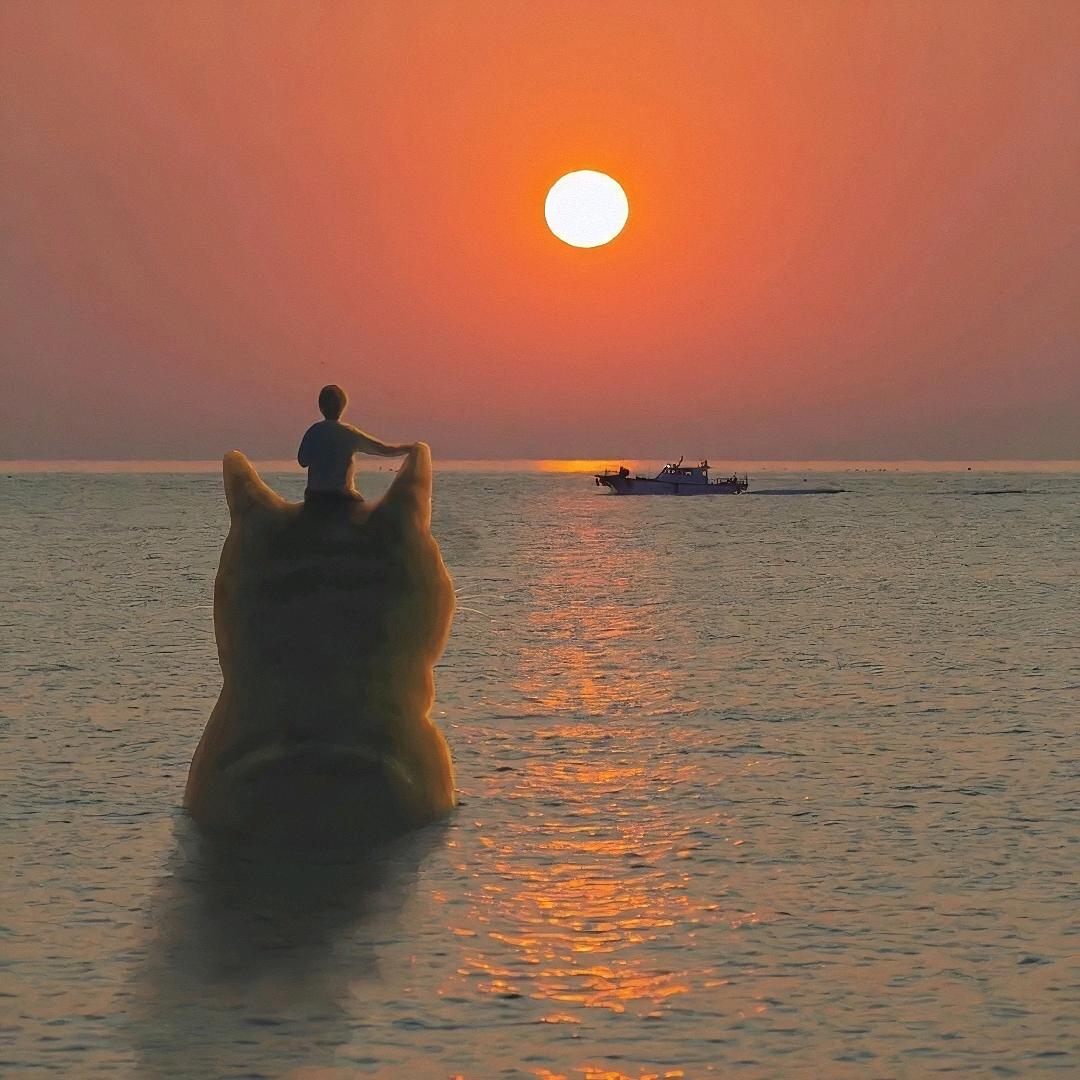 浅夏繁花梦