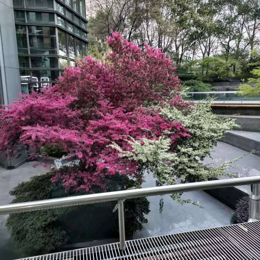 用户499999464603秋菊