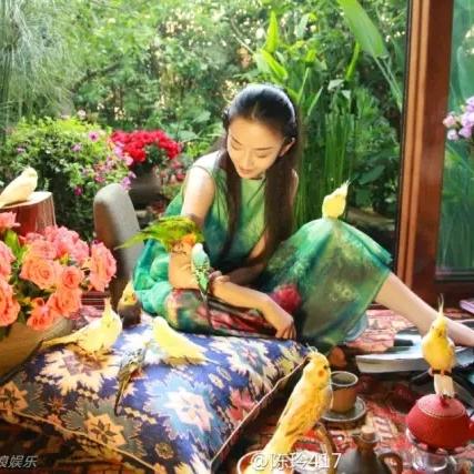 感谢帮助我的人<请勿连赞>