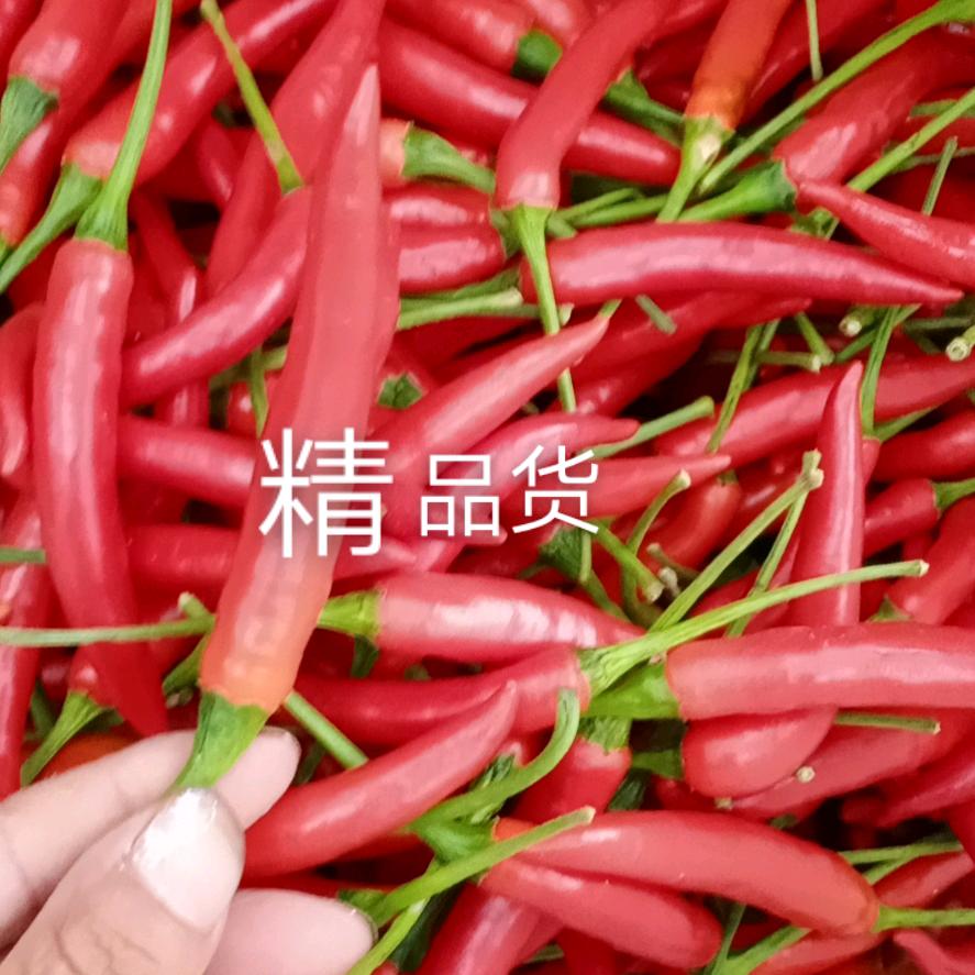 我命由我不由天