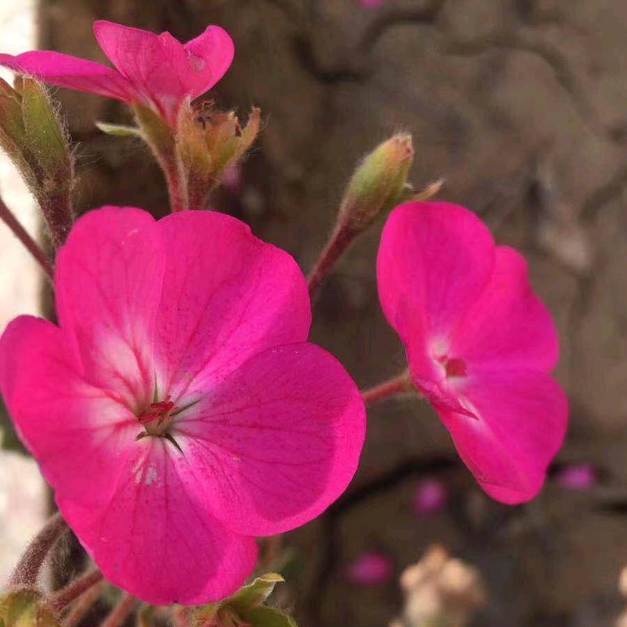 人生如梦2631586599247