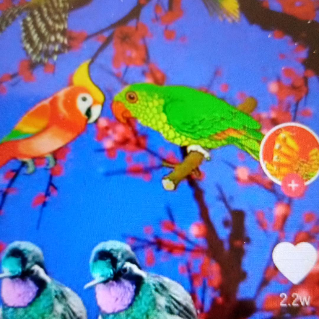 一米阳光23097674