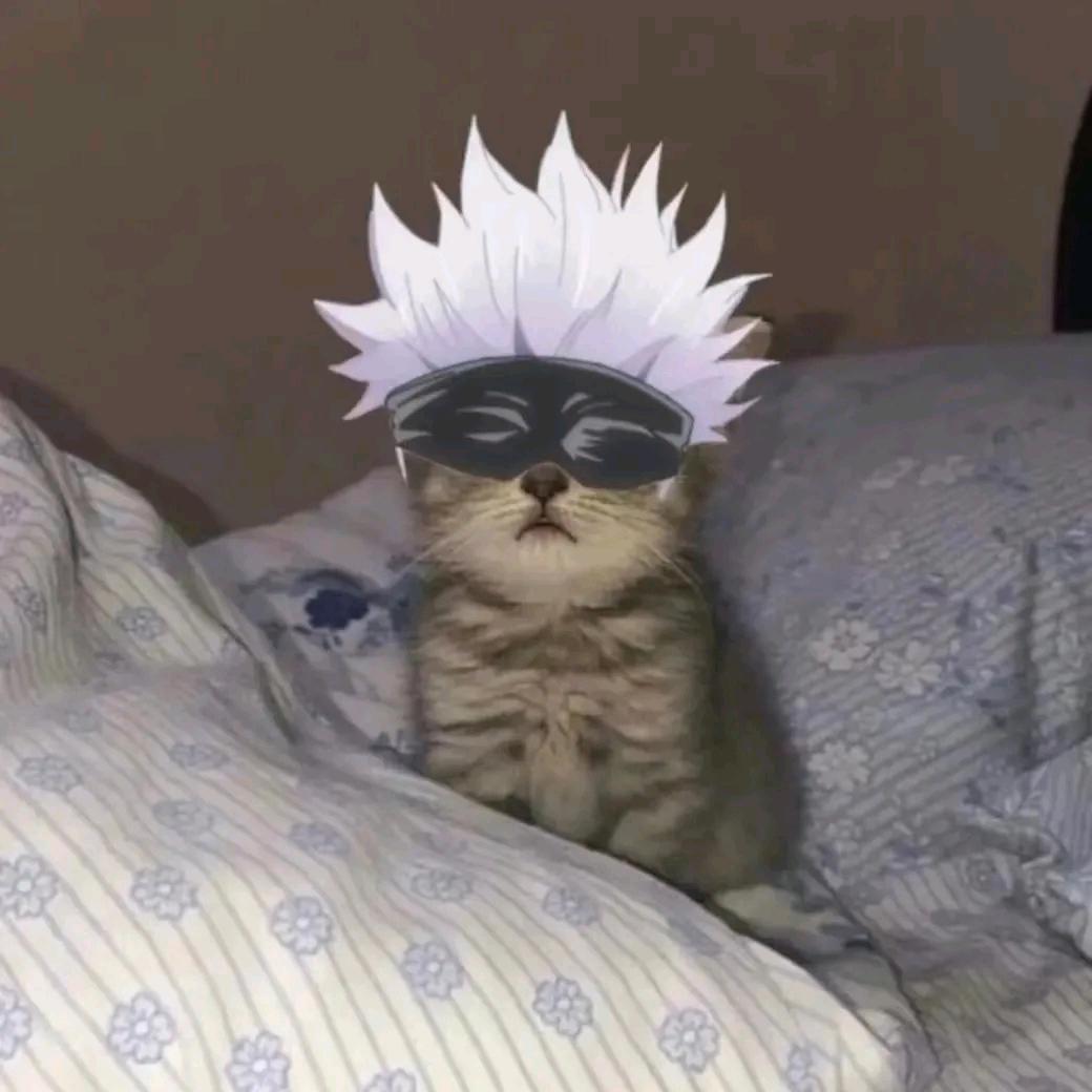 抱歉，打断一下