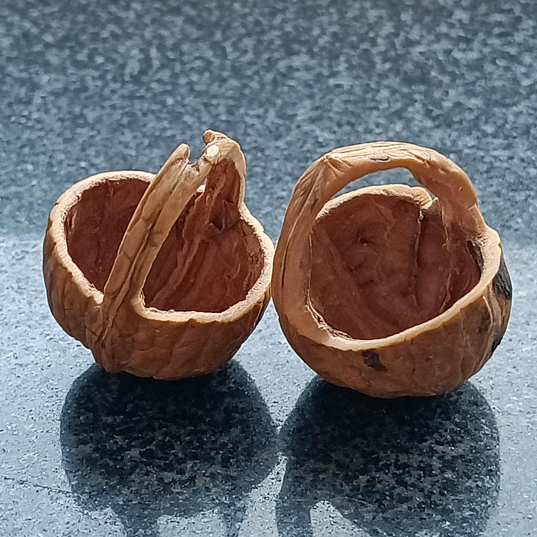 偷来的时光