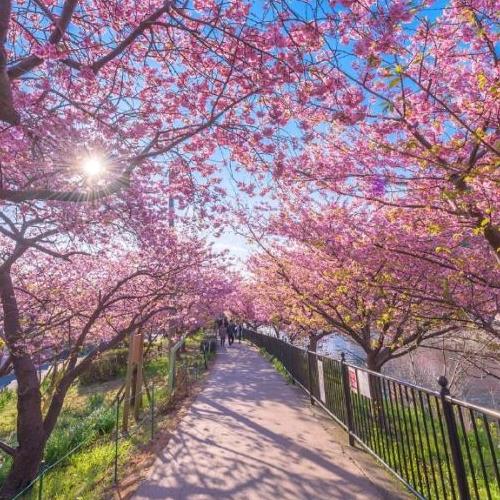 春暖花开
