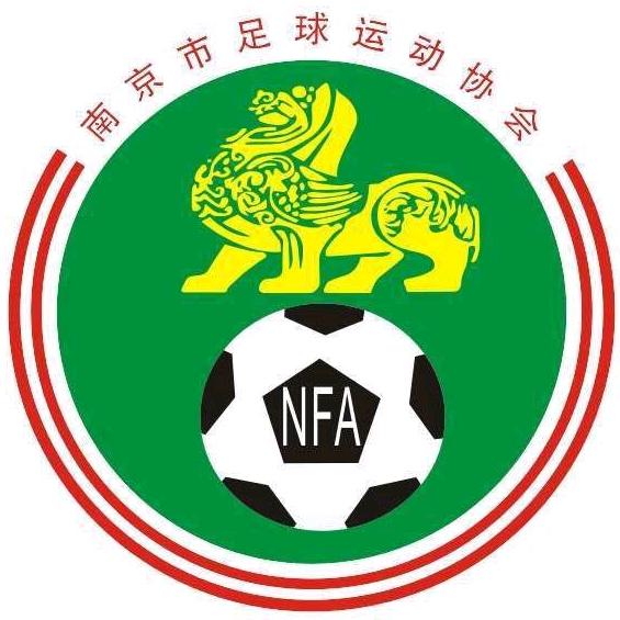 南京市足球运动协会