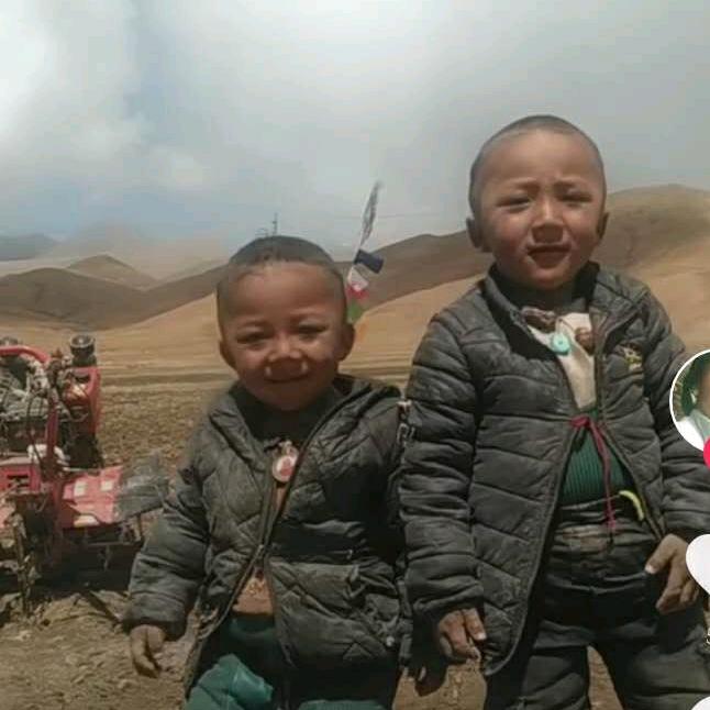 桑珠和扎顿的生活   双胞胎