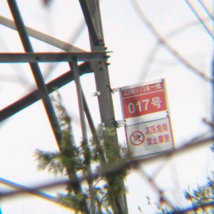 阿扎里