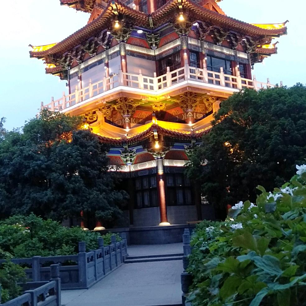 陈心如意