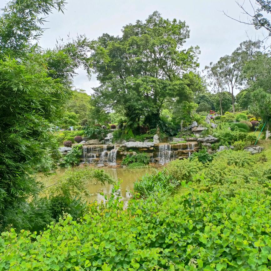 陈晨