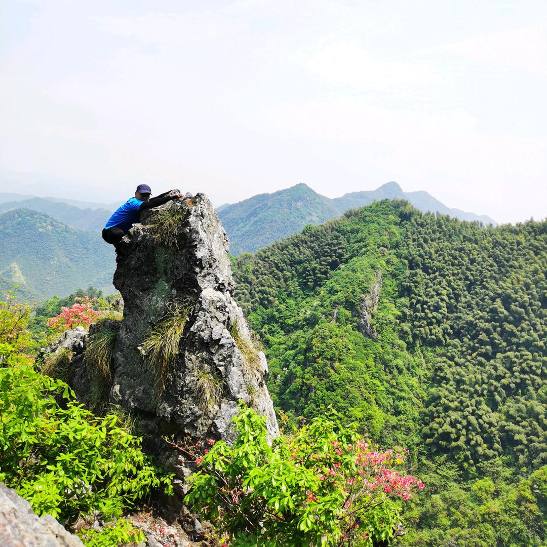 宝塔山李大仙儿