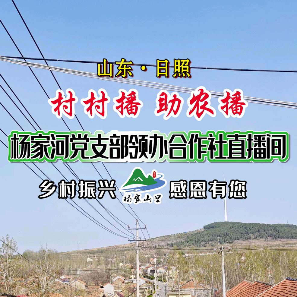 日照杨家山里助农直播