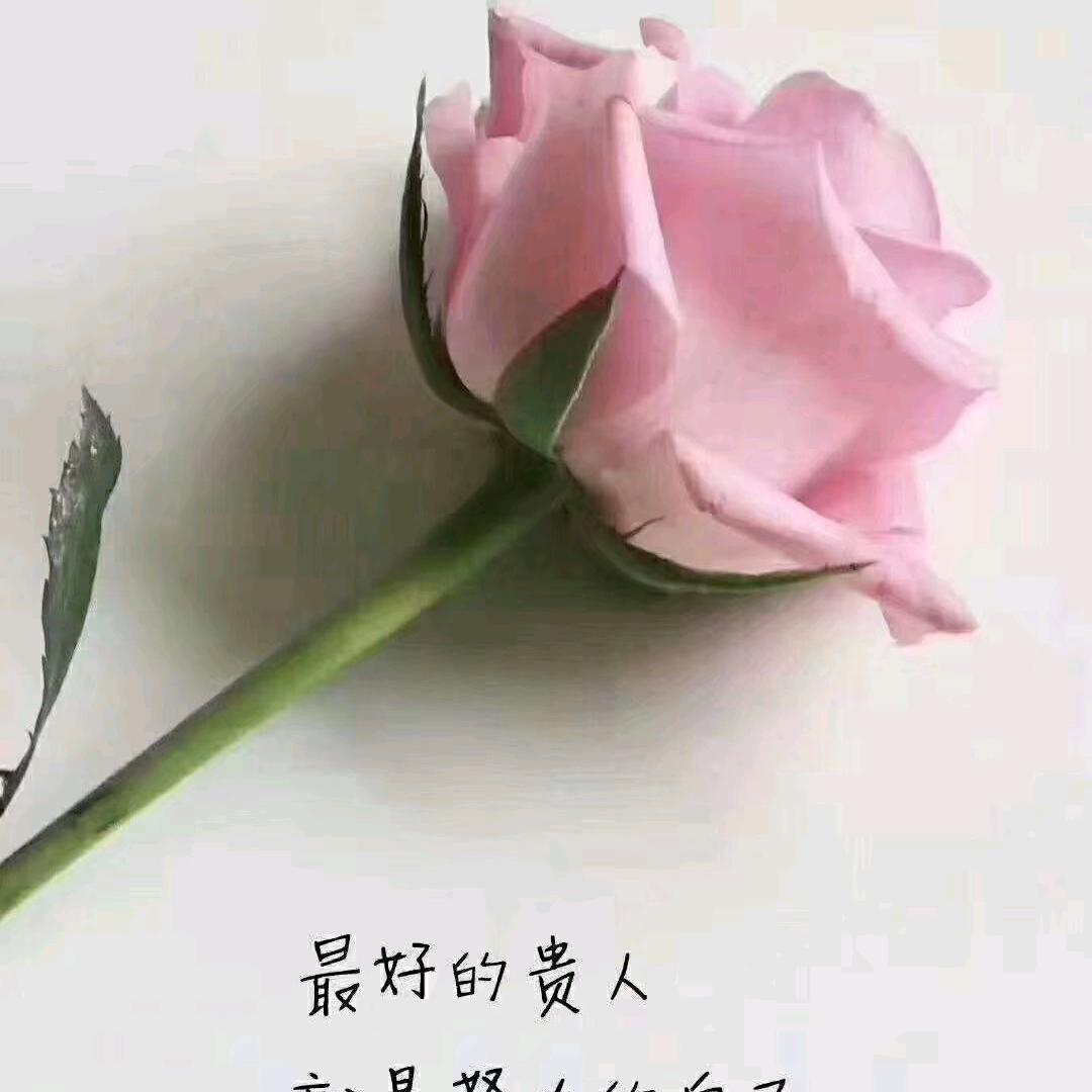 老王吊顶墙面（世纪豪门南阳店）