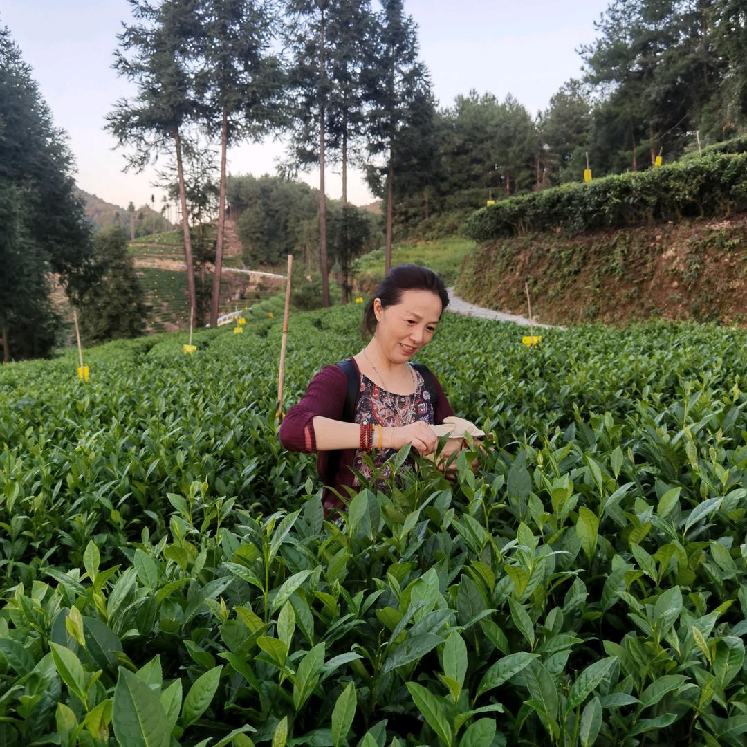 千千禾