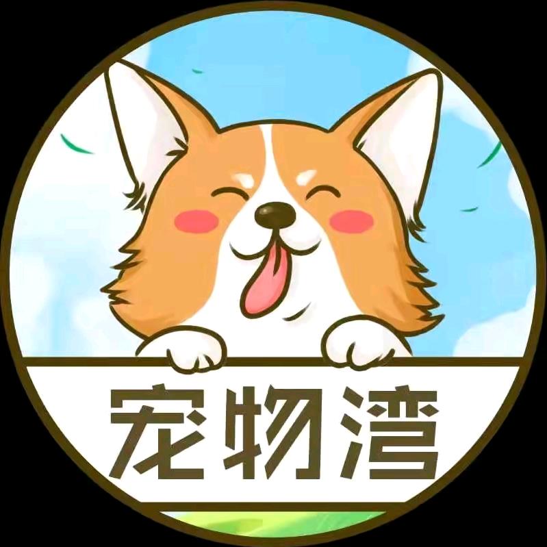 宠物湾