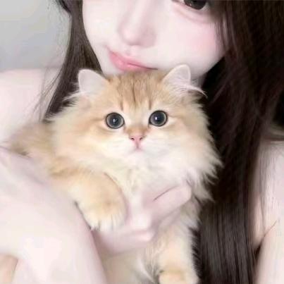 爱玩游戏的小孩