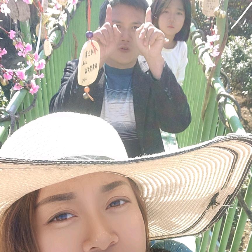 凤庆荣光胡蜂养殖