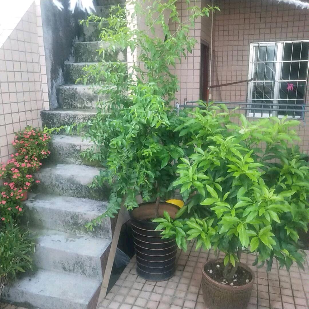 灬龙腾♥四海灬